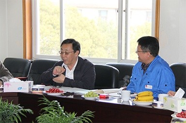 2013年3月18日，时任国家工信部节能司副司长杨铁生一行莅临公司参观指导