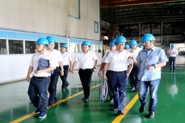 2020年9月8日,时任商务部亚洲司副司长杨伟群、马来西亚驻华使馆公使施志光莅临金彩汇官网纸业对马来西亚项目进行调研