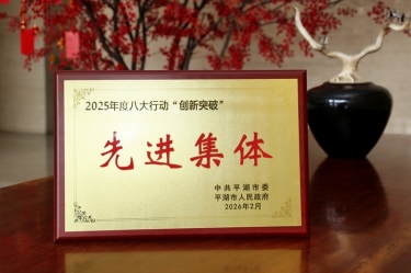 策马扬鞭启新程！金彩汇官网纸业在平湖市三级干部大会上荣获“创新突破”双项荣誉